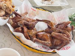 -百利鸽王(紫薇路店)