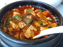 -陈麻婆豆腐总店