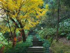 -梦姑塘文化公园