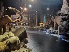 -抚顺煤矿博物馆