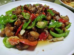 -煲来饱去冷水鱼