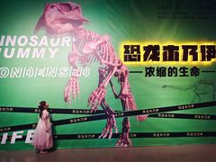 -台州博物馆