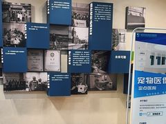 -伟伟宠物医院·CT影像中心·瑞派犬猫综合性门诊(汉口总院)