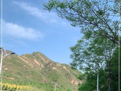 -密云玫瑰情园