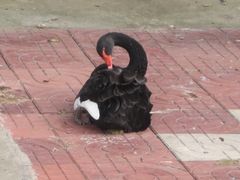 IMG_1369-南京金牛湖风景区