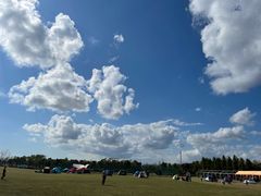 -春花秋色城市公园