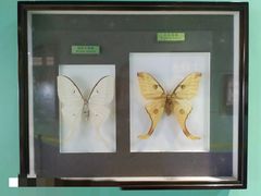 -上海昆虫博物馆