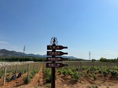 -北京张裕爱斐堡酒庄