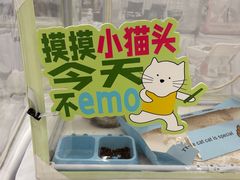 -开元商城(西旺店)
