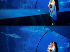 -太平洋海底世界