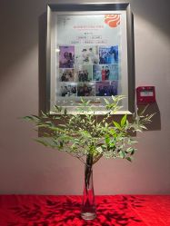 点击看大图 -禾颜社·精致美容
