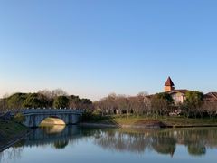 -上海海湾国家森林公园