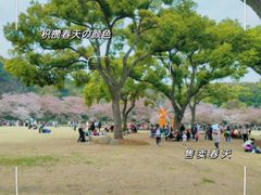 -苏州上方山国家森林公园