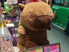 -乐乐姐超级土豆(中关村5号店)