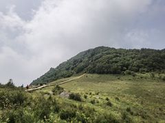 -白草畔自然风景区