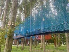 -黄海国家森林公园