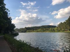 -南国桃园旅游度假区