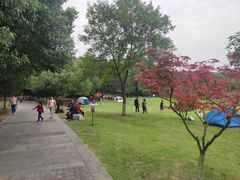 -绿茶餐厅(领展购物广场·中关村店)