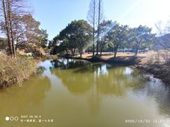 -苏州上方山国家森林公园