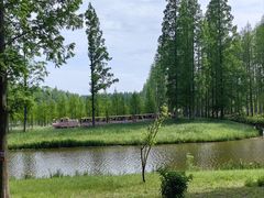 -黄海国家森林公园