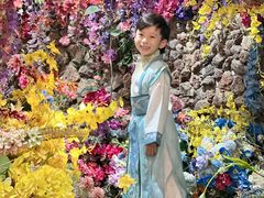 -正佳雨林生态植物园