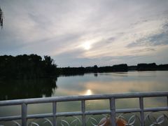 -大兴滨河森林公园