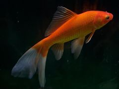 -欢乐海岸海洋奇梦馆