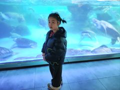 -海合安成都极地海洋公园