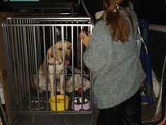 -蚂蚁搬家成都打包搬运公司