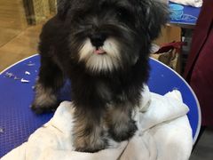 -PETKIT小佩宠物(古北店)