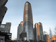 -杨婆婆烤肉(文昌阁店)