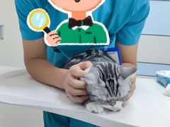-中农国际动物医院24小时·猫科·骨科·急重症中心