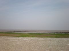 景点-南汇嘴观海公园