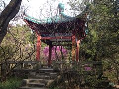 景点-庐山风景区花径公园