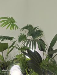 -HEYAN荷妍专业脱毛连锁机构
