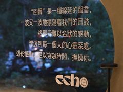-Echo回声黑胶唱片咖啡馆