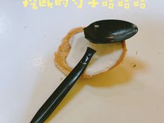 -志龙皇冠吃货椰子铺