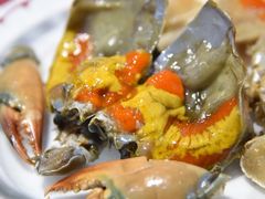-百年银屏蚝烙·潮汕菜·非遗(乐山店)