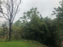 -南京市无想山景区