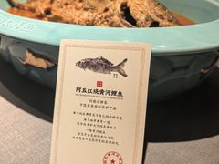 -阿五黄河大鲤鱼(英协路店)