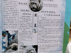 -青藏高原野生动物园