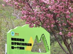 -京东石林峡风景区