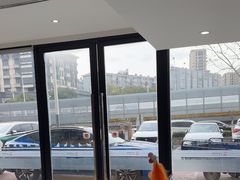 -艾贝尔宠物医院·24H转诊中心·肿瘤猫专科(江宁双龙店)