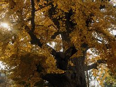 -清华大学玉泉医院