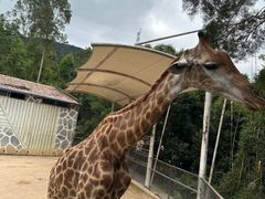 -泉州海丝野生动物世界