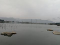 -长田漾湿地公园