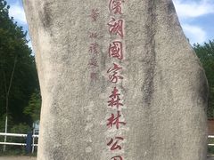 -合肥滨湖国家森林公园