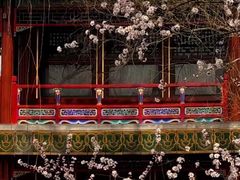 -颐和园
