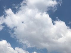 -渡海小渔村.老辈日照菜