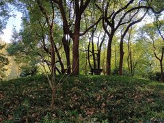 -徐家汇源景区-衡山公园